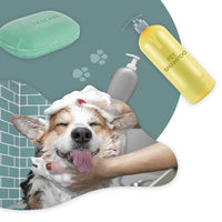 Pets care